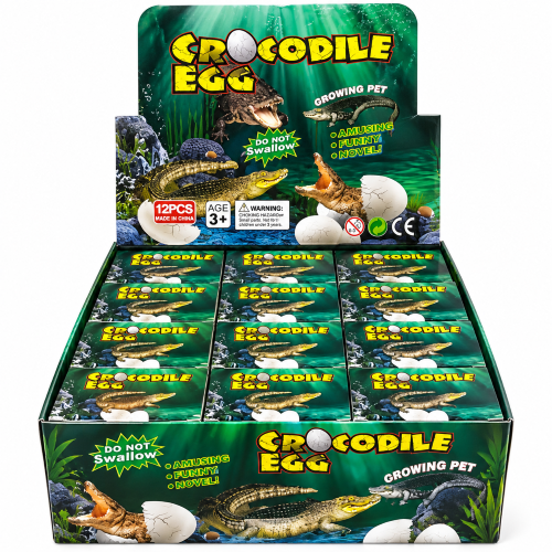 products/growing_egg_croc_disp_20Pmy3G.png